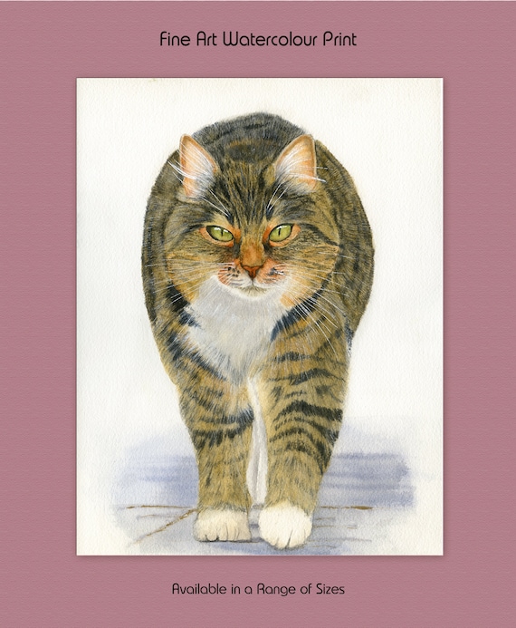 Fat Tabby Cat Fine Art PRINT from an Original Watercolour | Etsy
