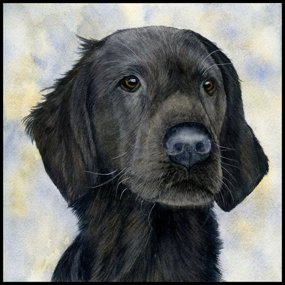 FLAT COATED RETRIEVER PACK OF 4 VINTAGE STYLE DOG PRINT GREETINGS NOTE CARDS #1 