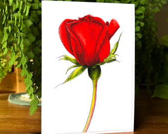 Single Red Rose Feminine Greeting Card, A Romantic Symbol of Love, for Any Occasion Created from my Own Original Watercolour Painting