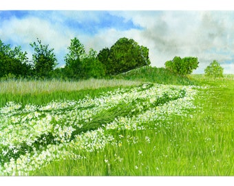 Wild Daisies in a Green Grassy Field, Summer Landscape Fine Art PRINT from an Original Gouache Painting. New Home Gift for Nature Lovers