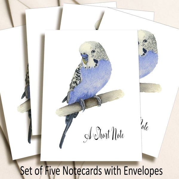 Purple Budgie or Parakeet, Pack of 5 folded  Parrot Notecards, with Envelopes. From and Original Watercolour Painting. Parakeet Stationery,