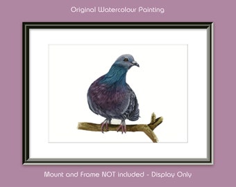 Racing Pigeon Painting in Watercolour, NOT A PRINT, Original Art, Homing Pigeon, Carrier Pigeon, Dove Art, Realistic Pigeon Illustration,