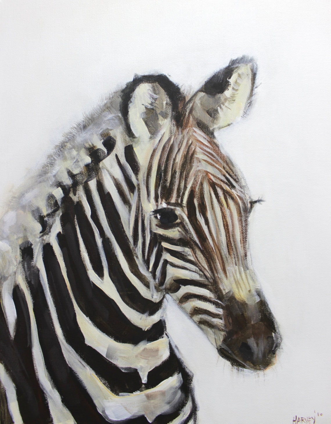Little Zebra Print on Canvas Etsy