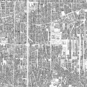 May include: A detailed black and white illustration of a city map, showcasing a complex network of streets, buildings, and green spaces. The artwork provides an aerial view, highlighting the urban layout with intricate linework and shading, creating a sense of depth and dimension.