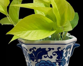 Puede incluir: Un macetero de cerámica blanca con diseños florales azules y forma geométrica. El macetero tiene dos asas a los lados y está lleno de una planta verde de hojas.