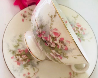 LIMOGES APPLE BLOSSOM, Cup Saucer Set, Vintage Porcelain, Gift First Her, Bone China,  Theodore Havilland