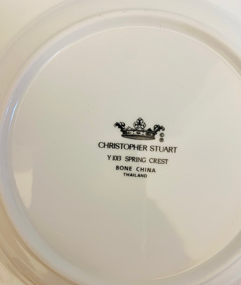 Soup Plate(s) / Bone China SPRING CREST by Christopher Stuart 9