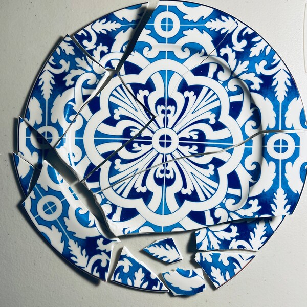 Broken Bone China Etsy