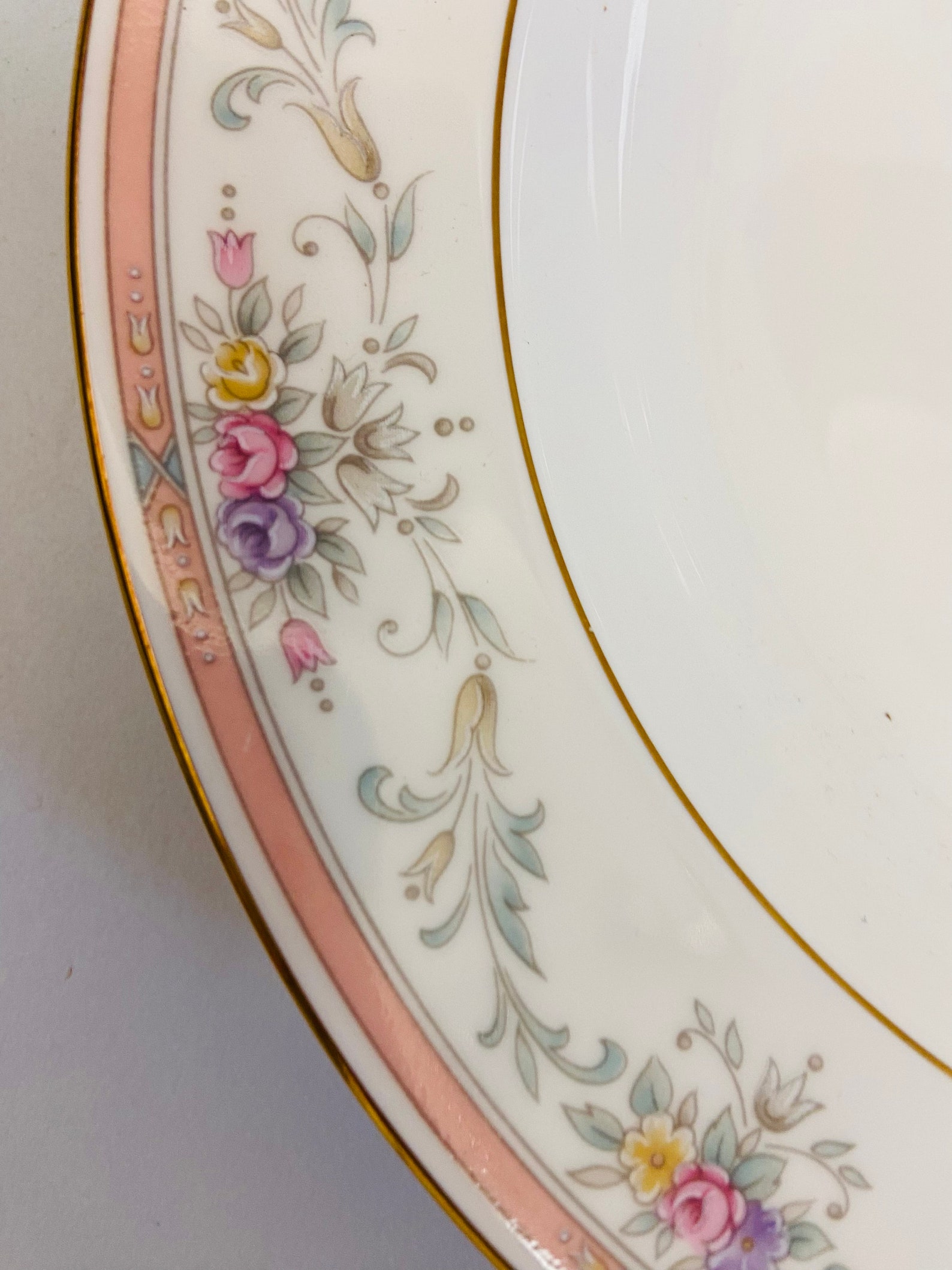 Soup Plate(s) / Bone China SPRING CREST by Christopher Stuart 9