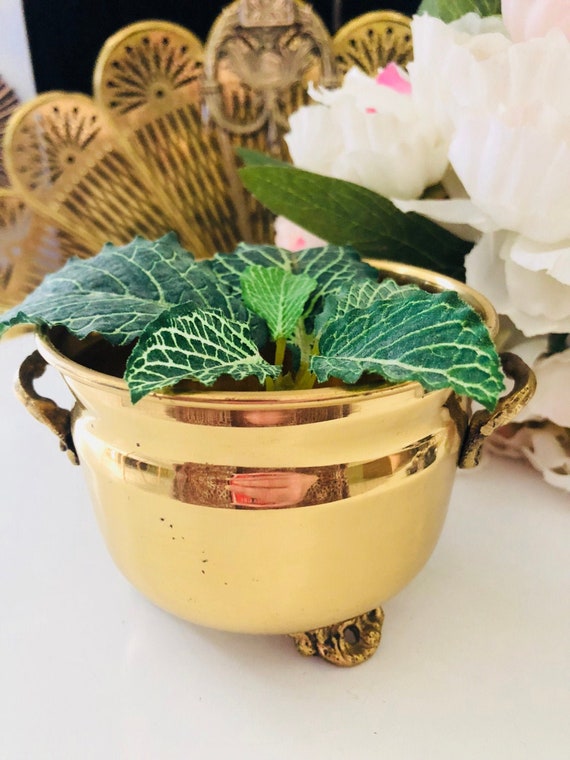 VINTAGE BRASS PLANTER Small Flower Succulent Pot Golden Decor Il_570xn