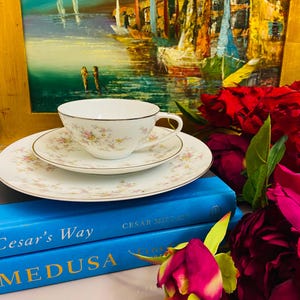 VINTAGE FLORAL TEACUP  Saucer and Salad Plate Set - Noritake Arlene - Porcelain of Japan Platinum Trim - Tea Lovers  Collectors Gift Idea