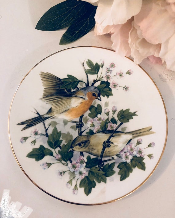 BIRDS COLLECTIBLE PLATE n5 Chaffinch With May Bloom Bone China Royal Grafton Il_570xn