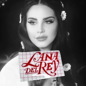 25x Lana Del Rey Singer Pop Music VSCO Vinyl Waterproof Stickers