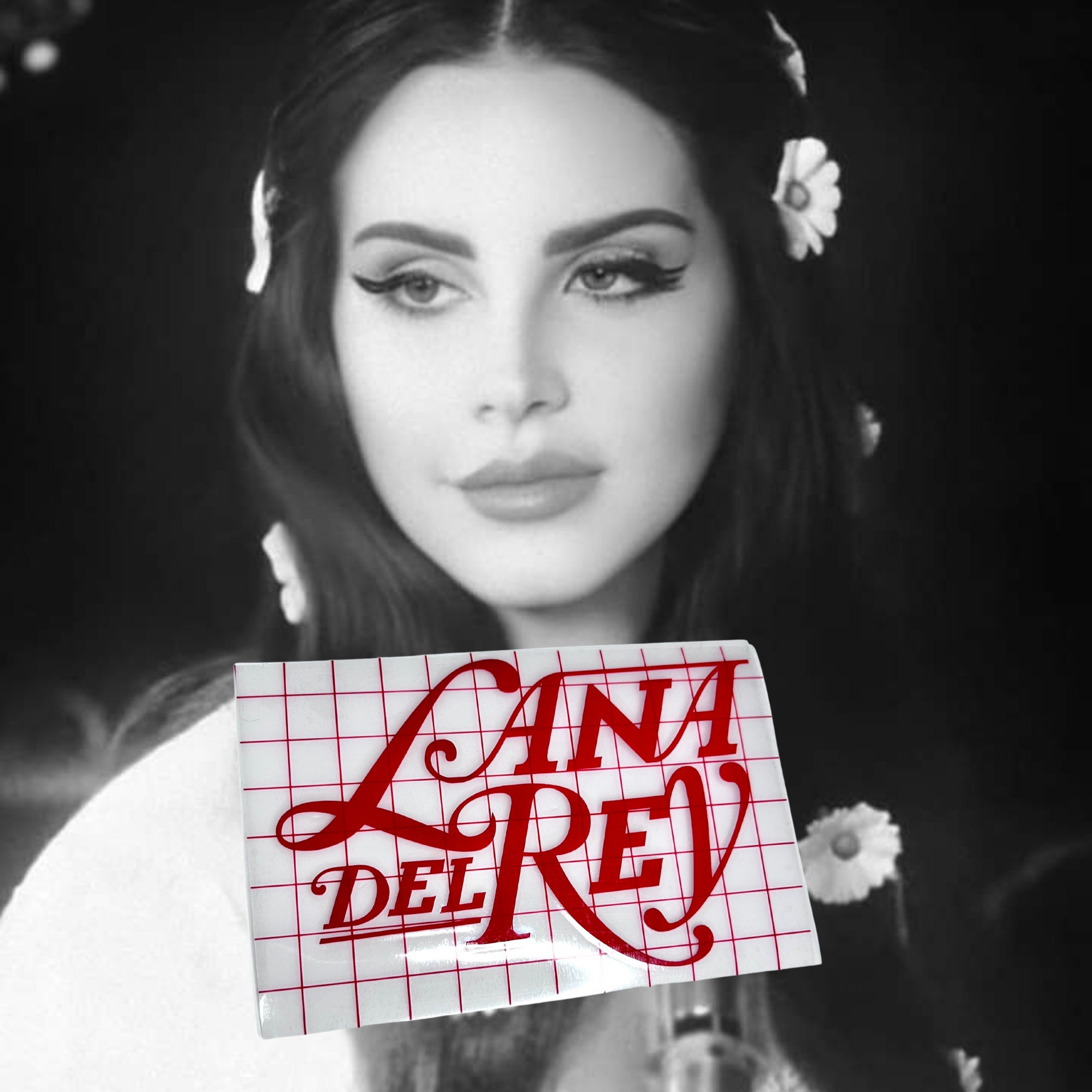 Lana Del Rey 3PACK Sticker - Sticker Graphic - Auto, Wall, Laptop, Cell,  Truck Sticker for Windows, Cars, Trucks : : Automotive