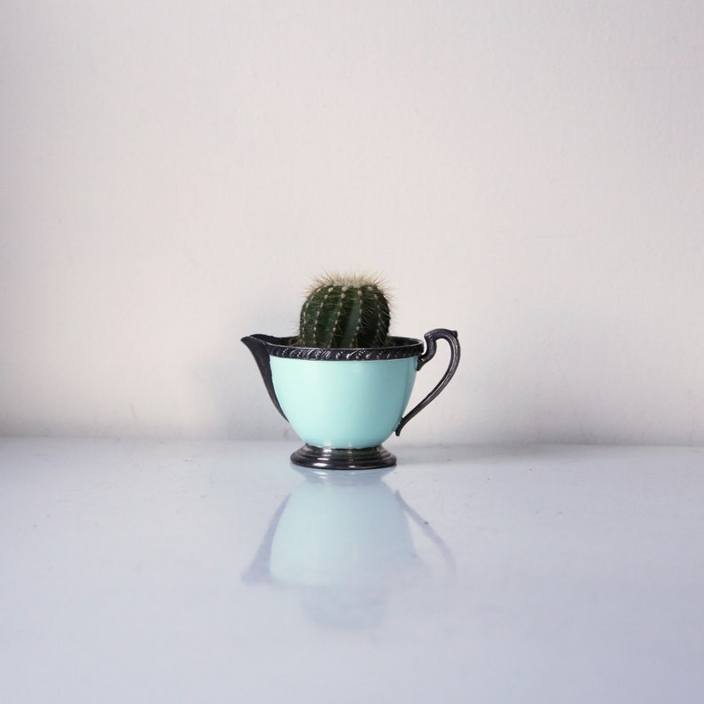 May include: A small, light blue ceramic creamer with silver trim, filled with a green cactus plant.