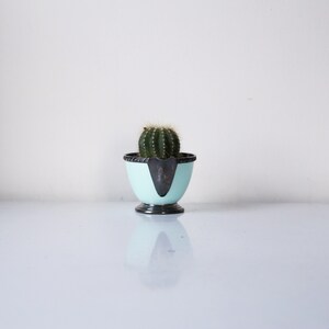 May include: A small, light blue ceramic planter with a silver rim, holding a green cactus plant.
