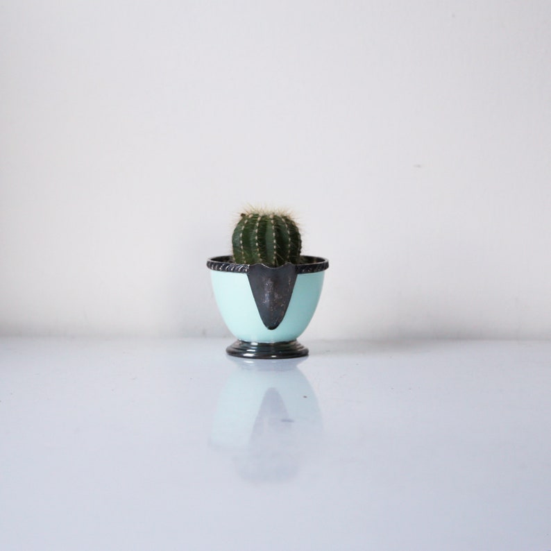 May include: A small, light blue ceramic planter with a silver rim, holding a green cactus plant.