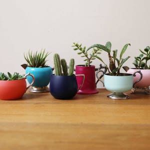 May include: A collection of six small potted plants in vintage silver teacups. The teacups are painted in various colors, including blue, pink, red, and teal. The plants include succulents and cacti.
