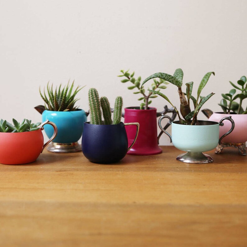 May include: A collection of six small potted plants in vintage silver teacups. The teacups are painted in various colors, including blue, pink, red, and teal. The plants include succulents and cacti.