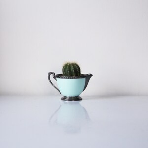 May include: A small, light blue creamer or pitcher with a silver rim and base, holding a small green cactus plant.