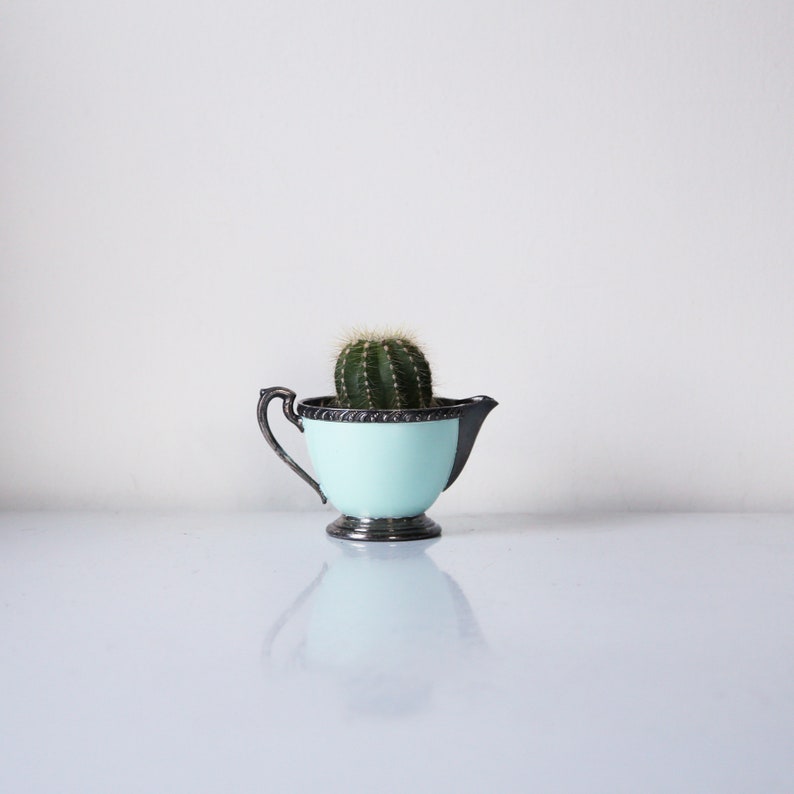 May include: A small, light blue creamer or pitcher with a silver rim and base, holding a small green cactus plant.