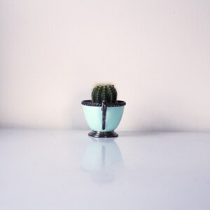 May include: A small, light blue ceramic planter with a silver rim and handle, holding a green cactus plant.