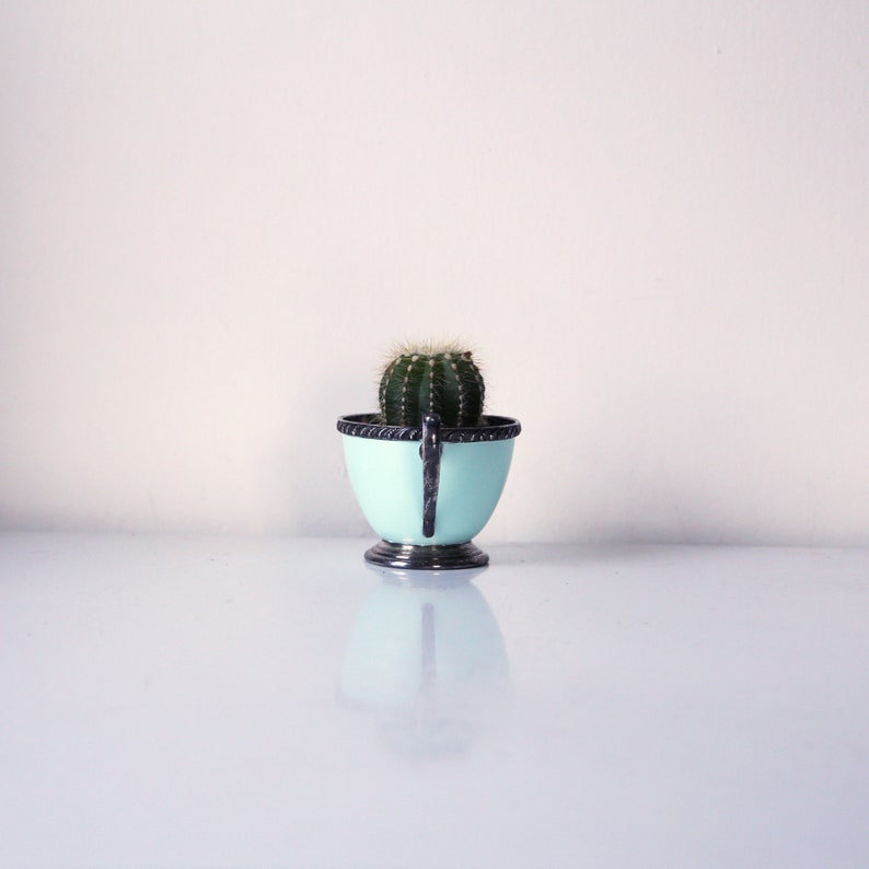 May include: A small, light blue ceramic planter with a silver rim and handle, holding a green cactus plant.