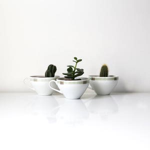 Schonwald tea cups mid century modern Germany set of 3 gold foil and green accents on white porcelain tea cups