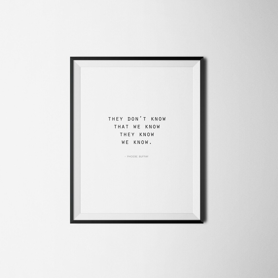 Friends Inspired Parody T-Shirt - They Don't Know That We Know They Know We Know - Gildan