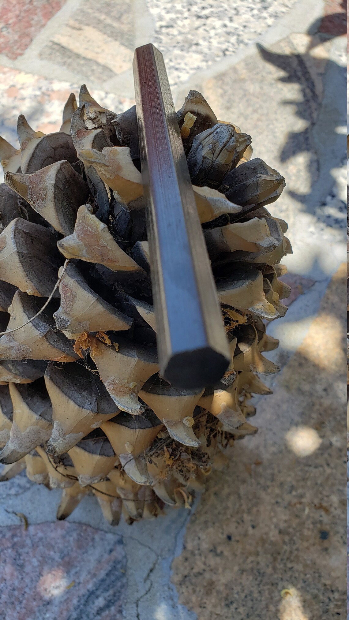 Bushcraft Firesteel Hexagon Ferro Rod Ferrocium Rod Miscmetal