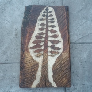 Reclaimed Carved Slab Poplar Wood