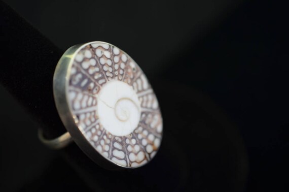 Shell adjustable ring with Nautilus spiral and th… - image 5