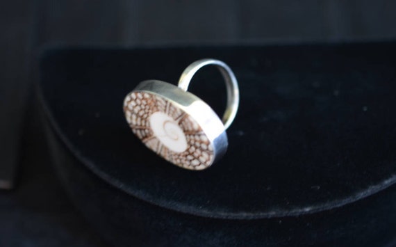 Shell adjustable ring with Nautilus spiral and th… - image 2