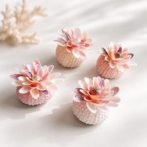 May include: Four decorative objects shaped like flowers, each featuring a pale pink sea urchin shell base topped with layered, delicate light pink and white seashell petals. A small, textured shell sits at the center of each floral arrangement.