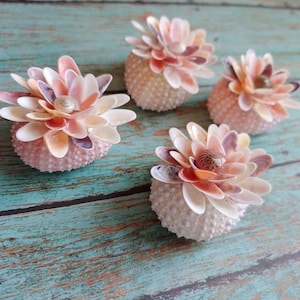 Seashell flowers - Beach decor for home - Beach decor for the bathroom - Sea urhcins - Birthday gifts for women - Shell decor - Gift for mom