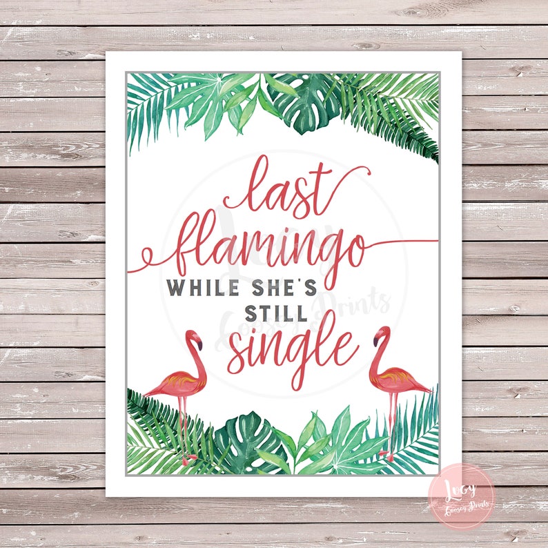 May include: A white sign with green tropical leaves around the border. The text on the sign reads "last flamingo while she's still single" in red cursive font. Two pink flamingos are on either side of the text.