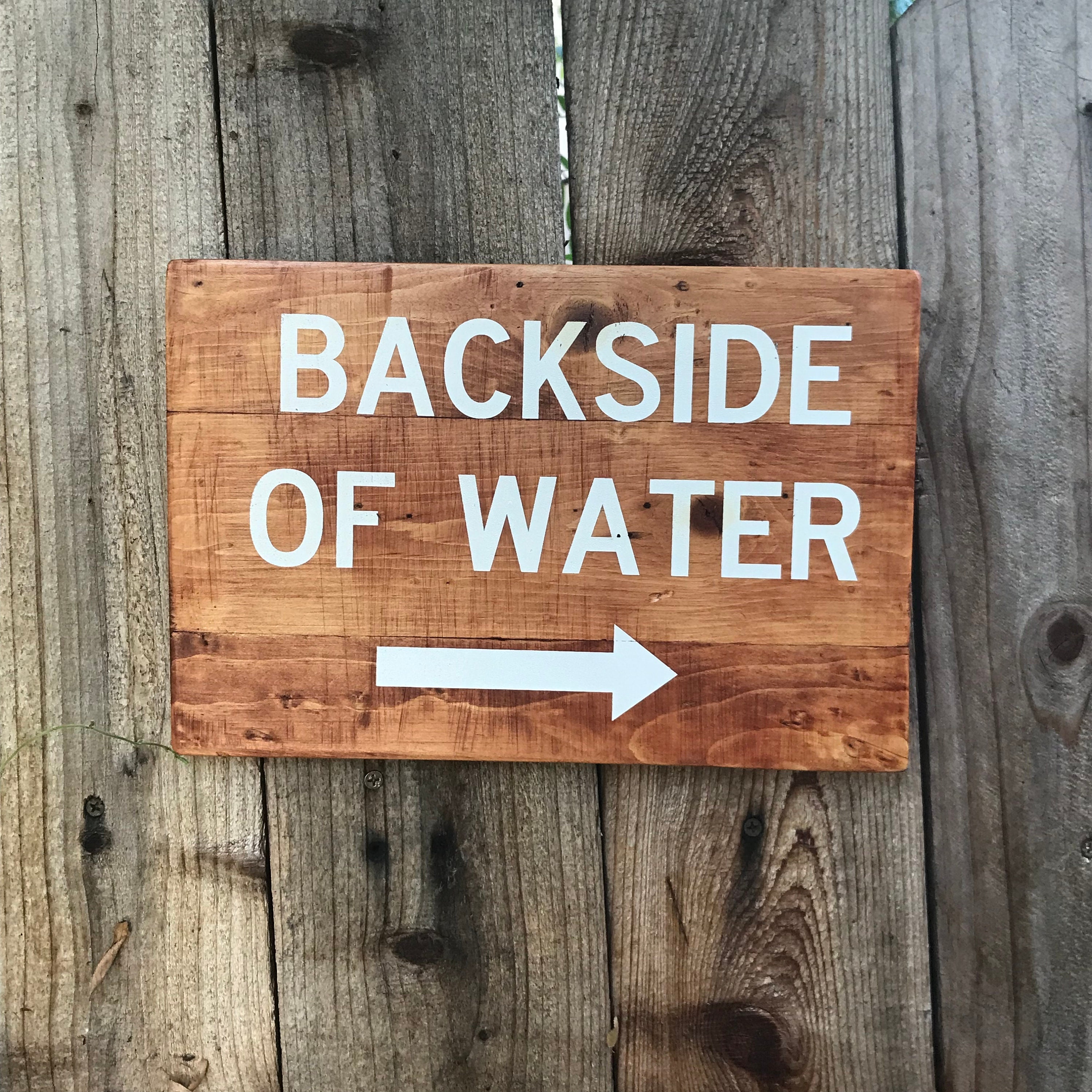 Jungle Cruise Backside Of Water Quote Backside of Water Disneyland Jungle Cruise Wood Sign | Etsy