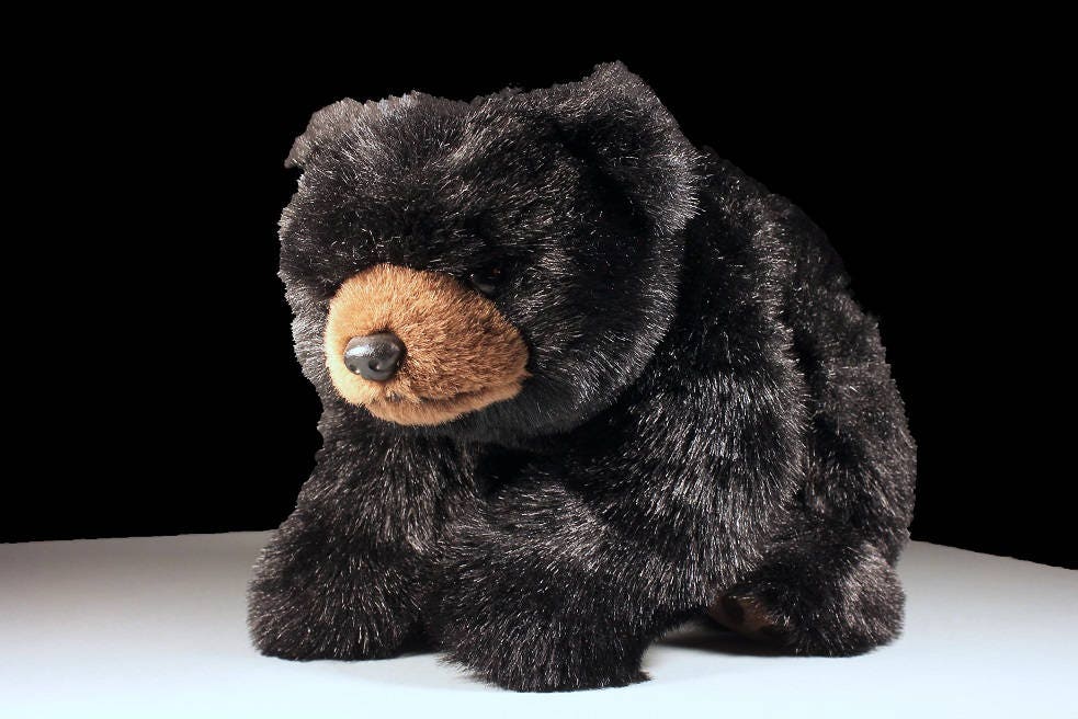 ty black bear