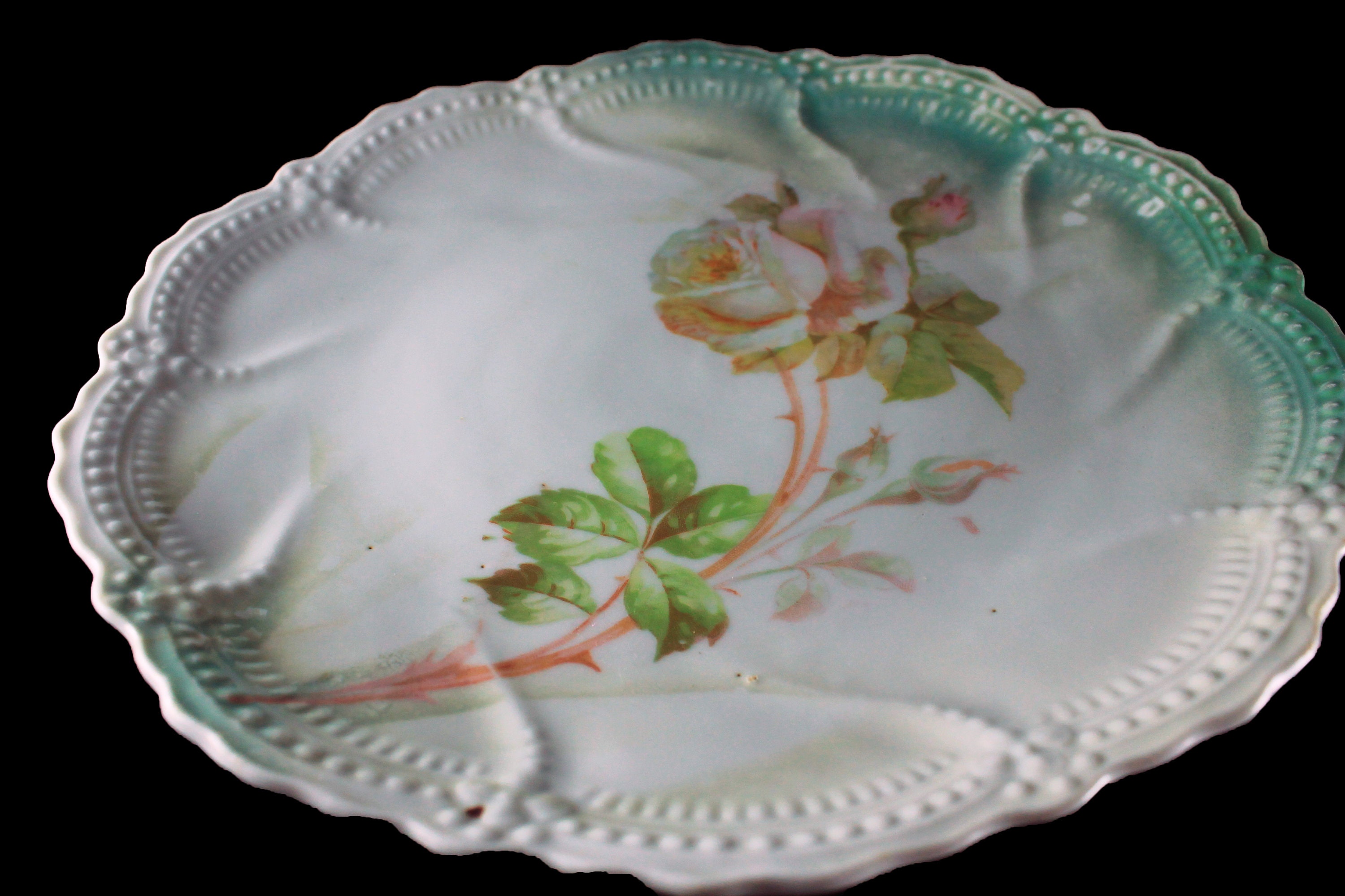 Antique Plate, Leuchtenburg China, White Rose, Circa 1910, Collectible