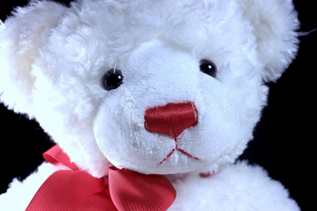 super fluffy teddy bear
