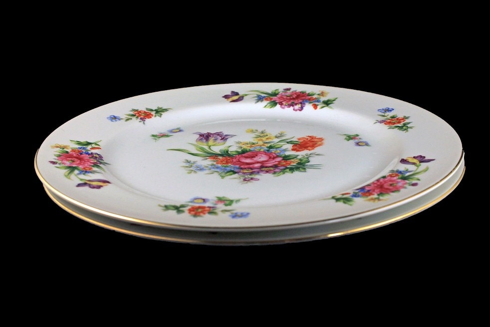 Dinner Plates, Sango China, Occupied Japan, Floradel, Floral Pattern