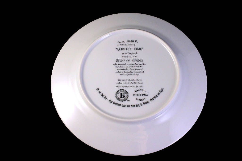1995 Collectible Plate, Bradford Exchange, Quality Time, Signs of