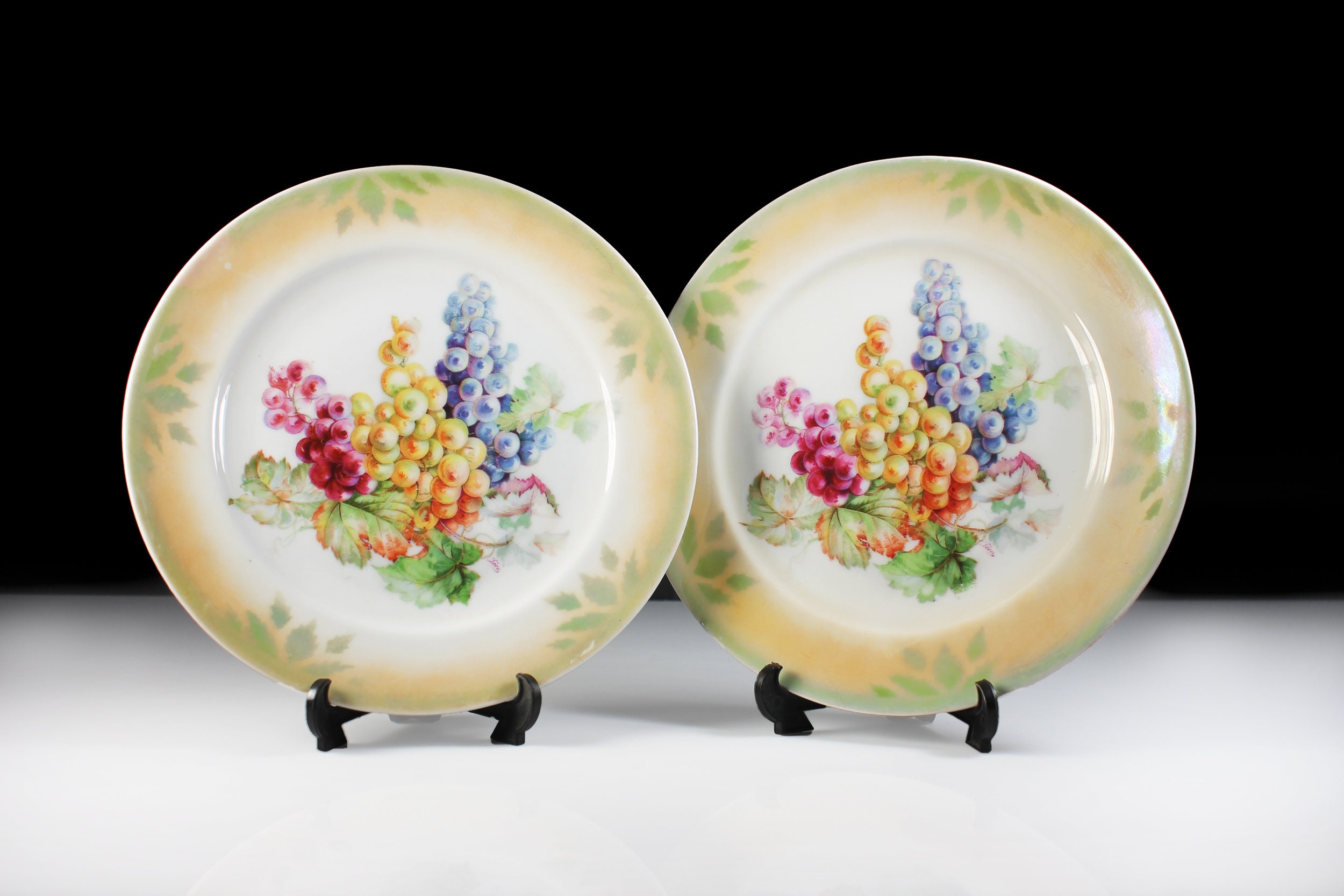 Antique Salad Plates, Altenburg China Germany, Fine Porcelain, Set of 2