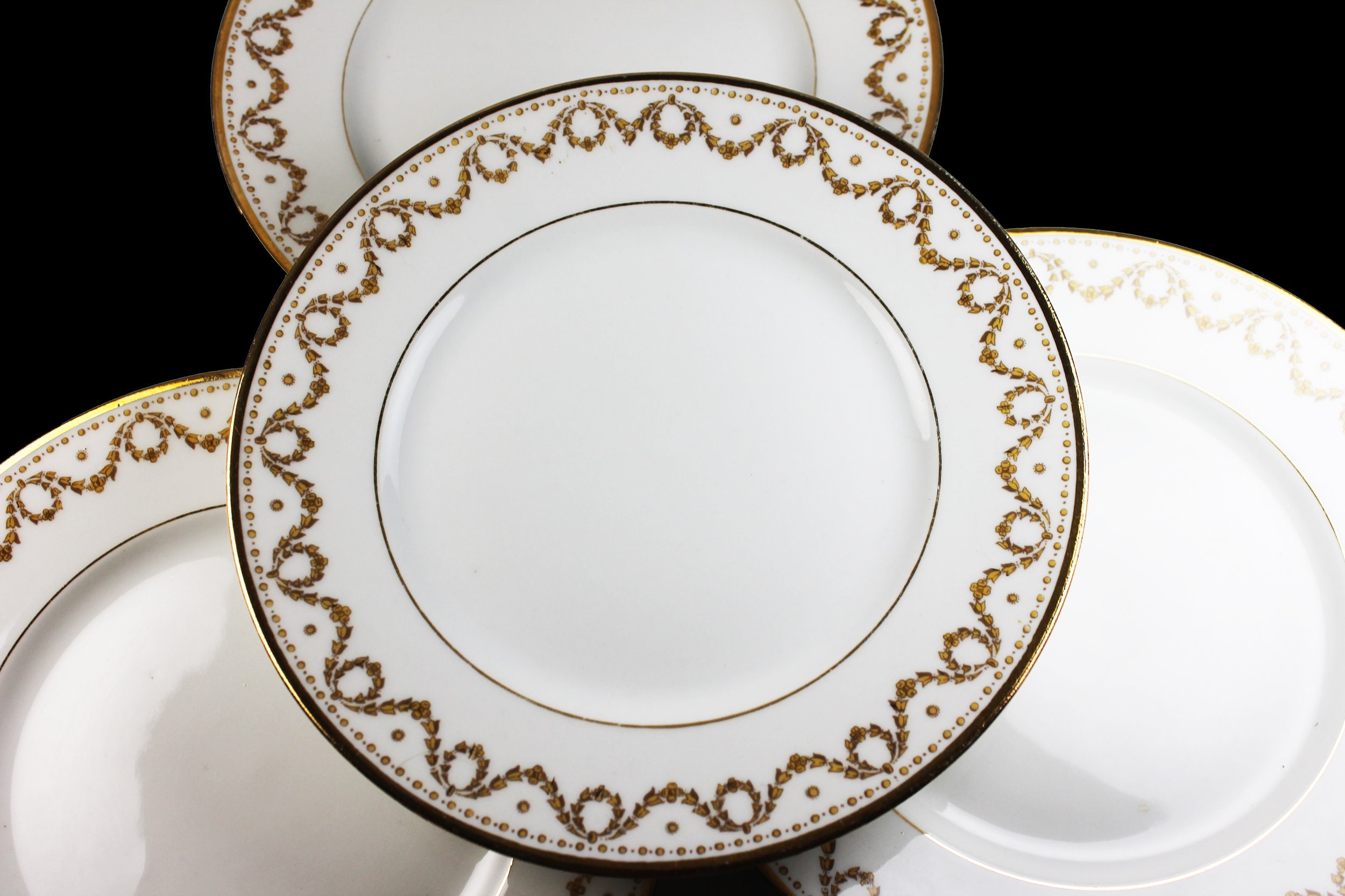 Dinner Plates, Bernardaud China, B and Co, Limoges France, Fine China