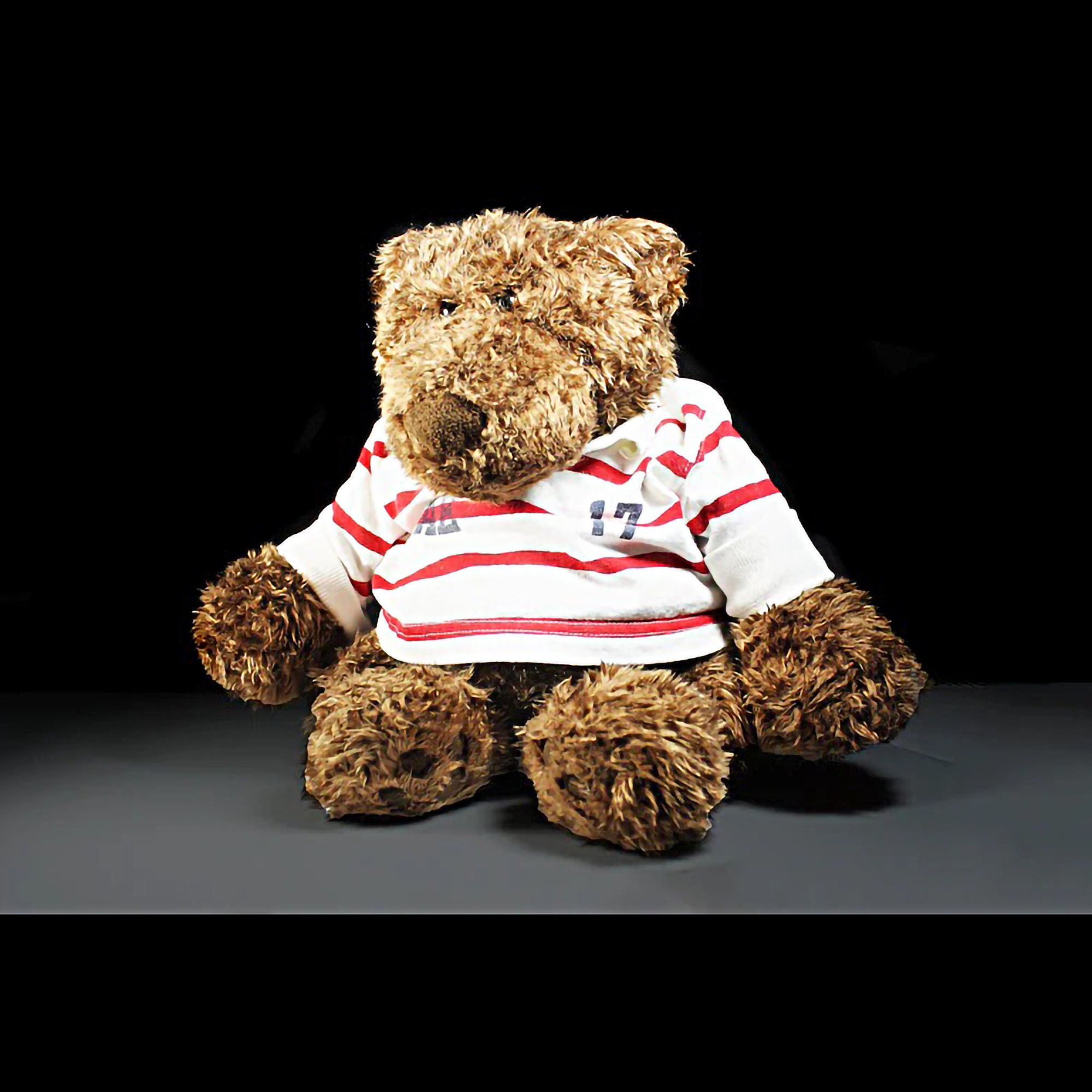 Bear Stuffed Animal, Gund American Eagle Outfitters, Roscoe the Rugby Bear,  18 Inch, Teddy Bear 