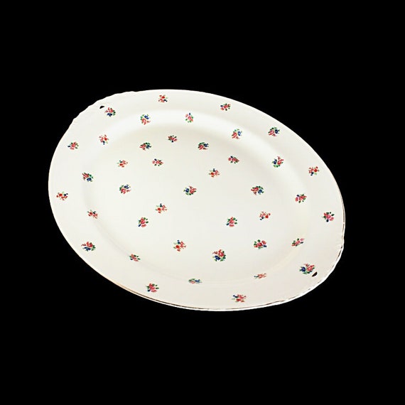 Platter, Homer Laughlin, N1489, 15 Inch Platter, Eggshell Nautilus,  Floral Pattern, Fine China, Rare, Hard To Find