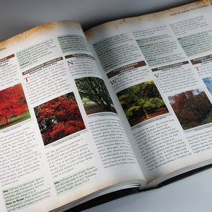 May include: A book open to a page with a list of deciduous trees. The page features photos of trees with their names and descriptions. The trees are in various shades of green, red, and brown.