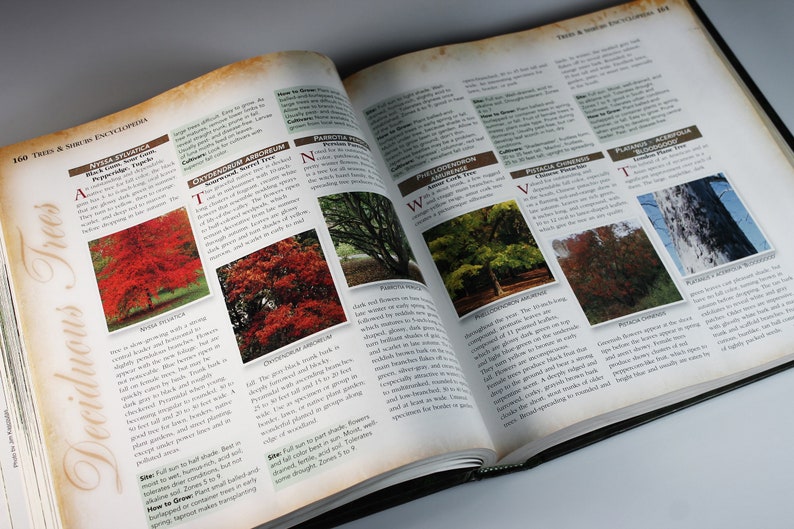 May include: A book open to a page with a list of deciduous trees. The page features photos of trees with their names and descriptions. The trees are in various shades of green, red, and brown.