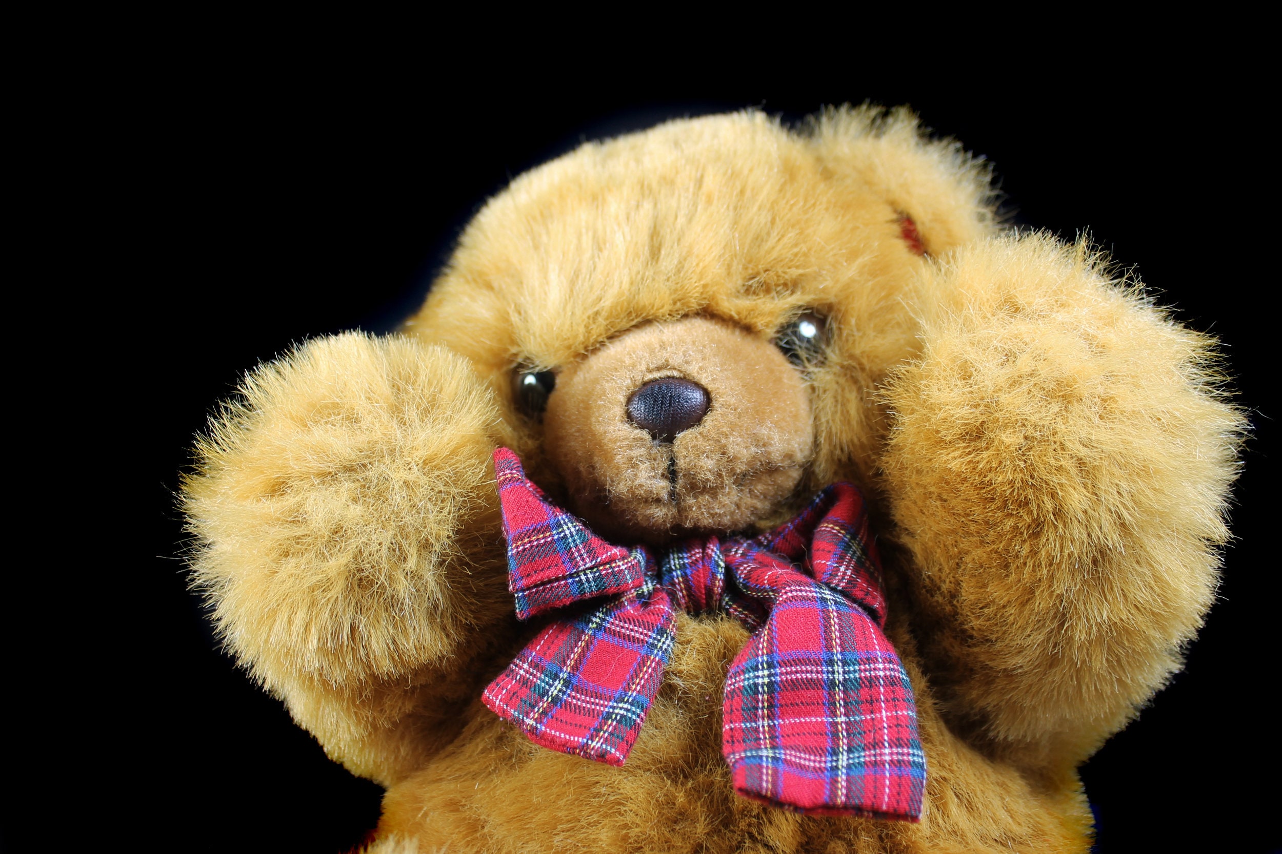 Commonwealth toy cheap company teddy bear
