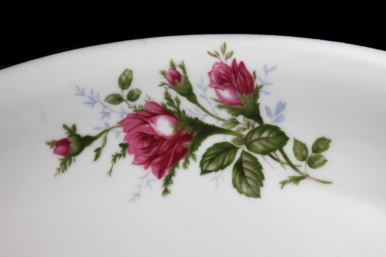 Puede incluir: Un plato de cer&aacute;mica blanco con un dise&ntilde;o floral con rosas rosas y hojas verdes.